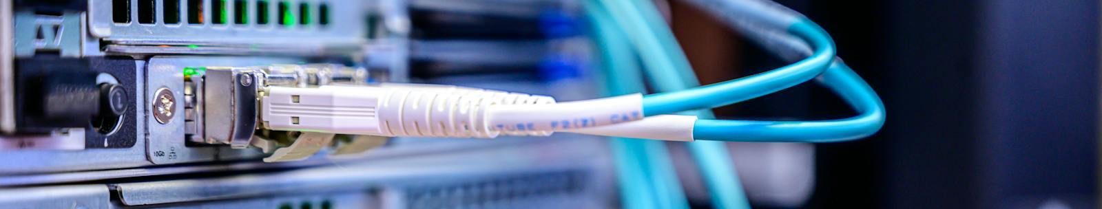 Detailed shot of Ethernet cables connected to server ports highlighting technology infrastructure.